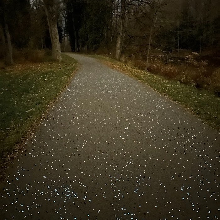 Glow trail on Mohawk River Trail